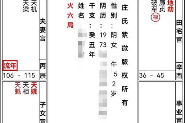 紫薇斗数紫薇星财锦