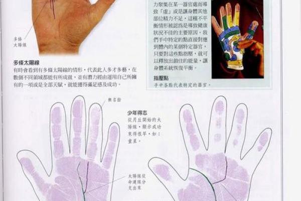 《手相学习百科》：手指