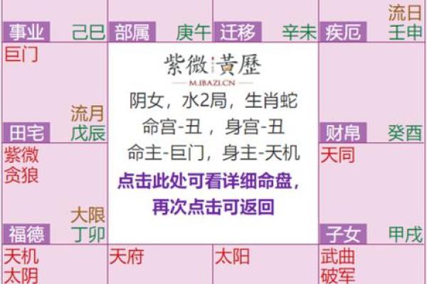 紫薇斗数双化科