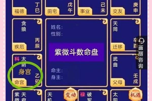 紫微斗数看一个人的相貌，看看你是什么什么星？