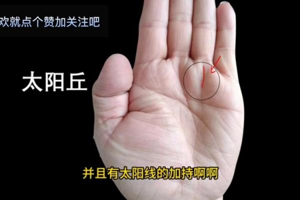 《手相学习百科》：太阳线