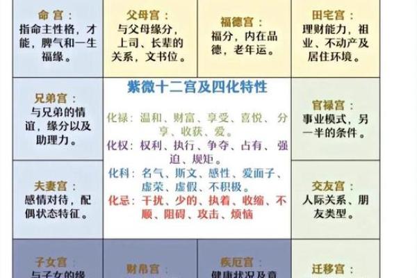 紫薇斗数中禄忌权科什么意思
