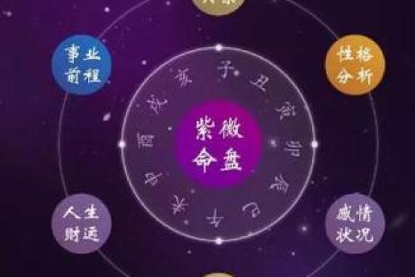 紫薇斗数流星