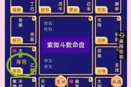 紫微斗数看一个人的相貌，看看你是什么什么星？