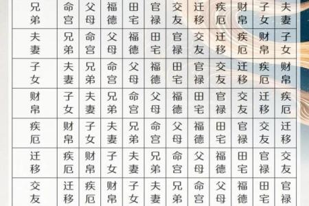 数斗算命