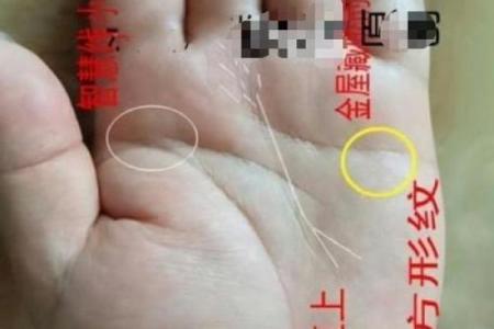 《手相学习百科》：太阳线