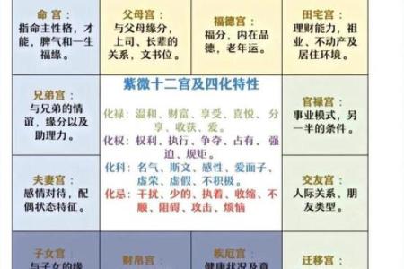 紫薇斗数中禄忌权科什么意思