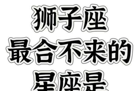 狮子座是图像星座吗