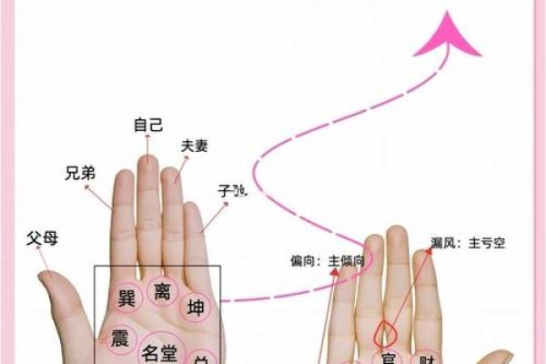 《手相学习百科》：手纹看退休