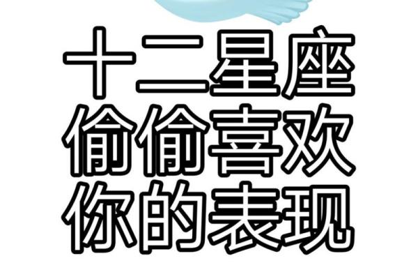 十二星座男偷偷喜欢你