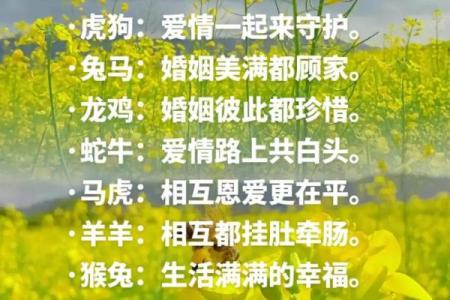 生肖配对：属鼠的和什么属相最配