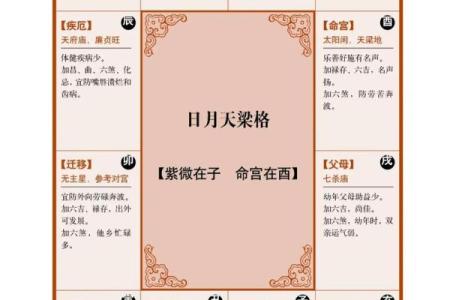 车在紫薇斗数属于什么