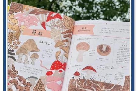 “茁壮成长，茎叶交辉，绿意盎然——草本植物百科全书”