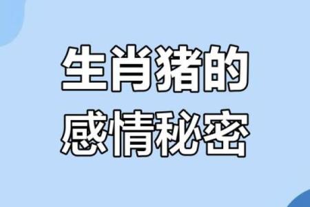 属猪正缘出现在哪年 属猪人婚姻配对表