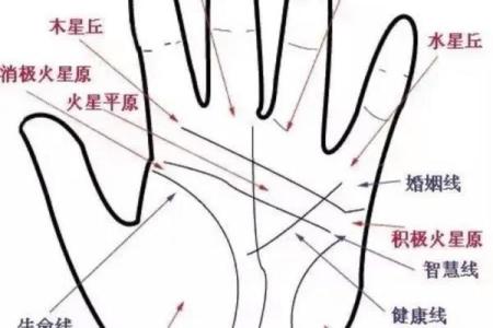 《手相学习百科》：手相健康记号