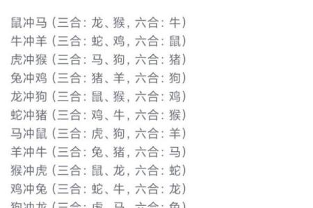 生命灵数配对哪些生肖幸福