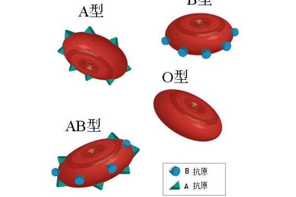 血型谁是蓝颜祸水