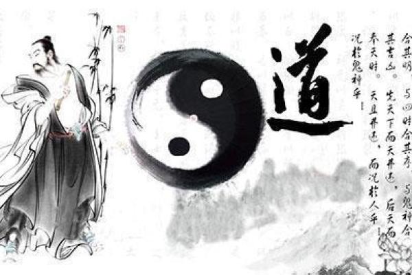 八字命理出林之兔是属于什么命