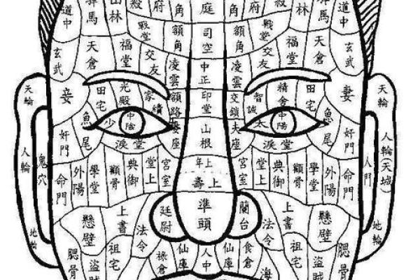相术算命师分析：命苦且劳累的体相！