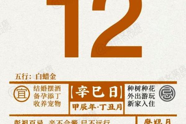 闹闹女巫2024年12月十二星座运势
