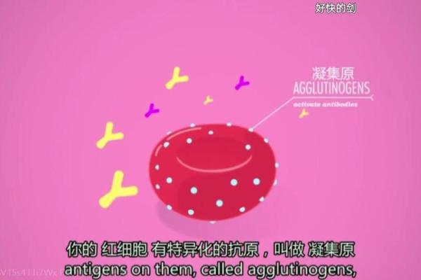 血型谁有大龄青年的危机