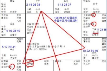 紫微斗数诸星落诸宫之，贪狼星：阳木疾厄宫详解