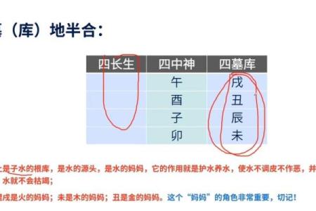 盲派周易八字学