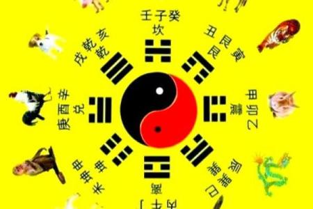 免费测五行八字查询器周易 八字算命测五行