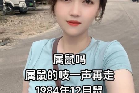 属鼠出生最好六个吉日 属鼠的出生吉日