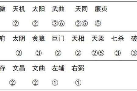 星座紫薇斗数在线测试