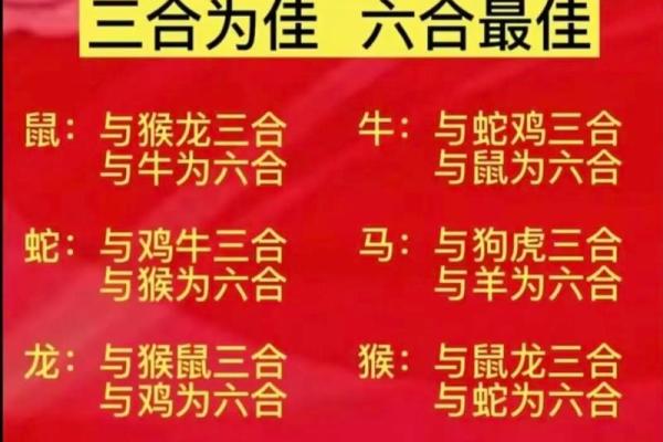 十二生肖的最佳婚姻配对