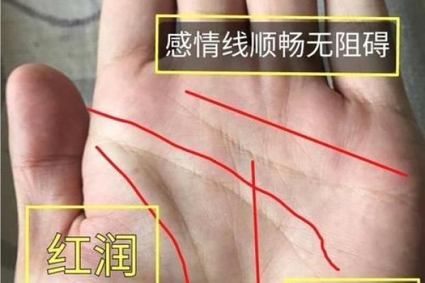 《手相学习百科》：手相看财运和好运