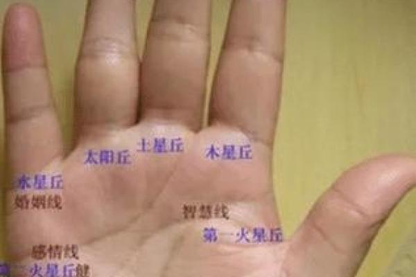 《手相学习百科》：手相看财运和好运