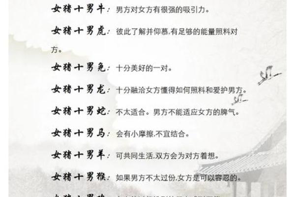 婚姻配对属蛇和属猪相克怎么办