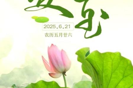 节气节日相遇，欢愉与追思相随