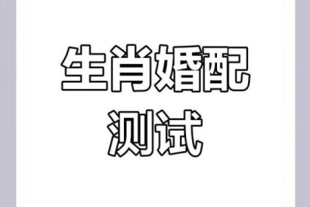 十二生肖配对指数大揭秘