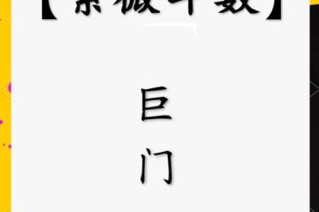 紫薇斗数之巨门