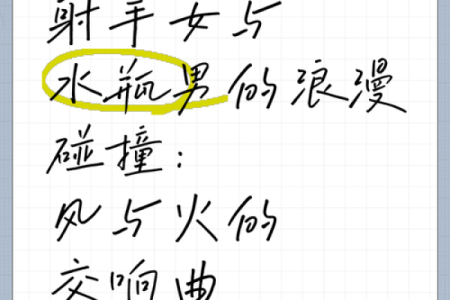 射手女和水瓶男的配对指数 射手女和水瓶男配吗
