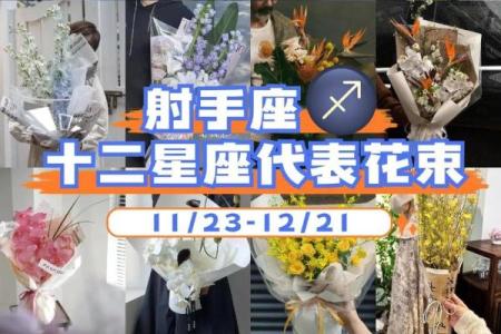 十二星座适合什么花最有灵性和灵感