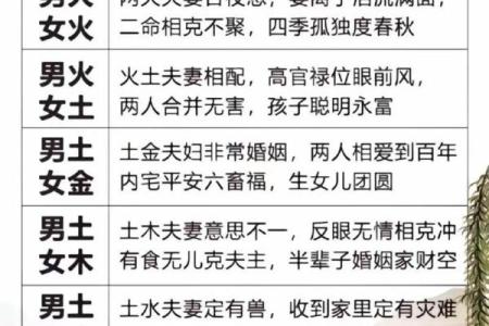 风水中炉中火命的男人命运好不好