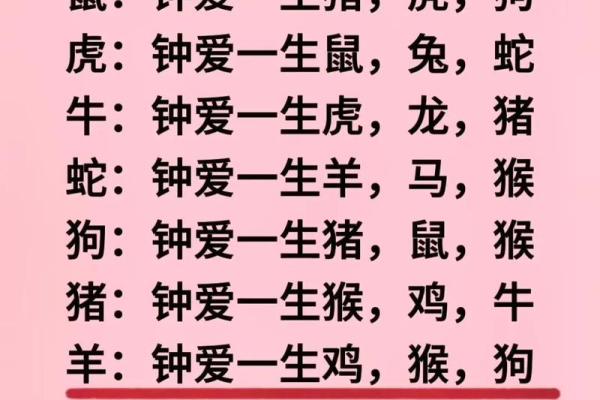 生肖配对查询男女