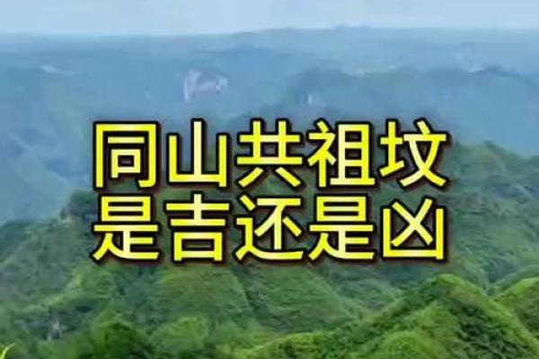 风水师谈祖坟风水好有哪些征兆