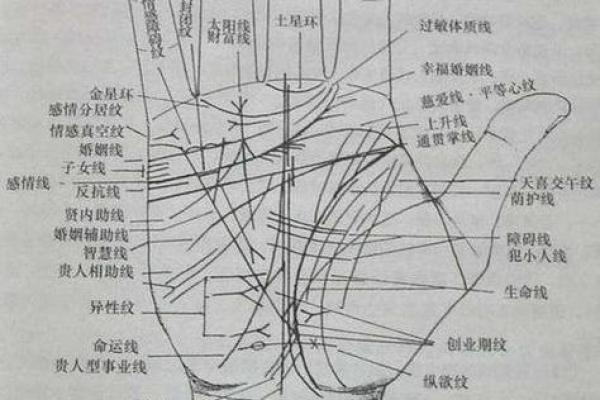 《手相学习百科》：手相看事业、职业