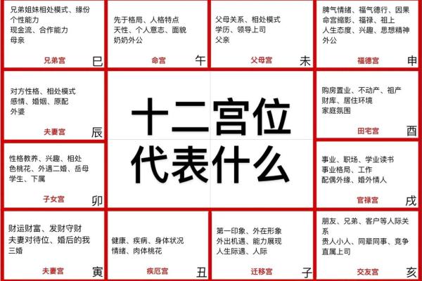 紫薇斗数四正位