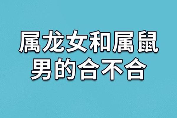 属鼠和属龙的犯冲吗 属鼠和属龙配对合适吗