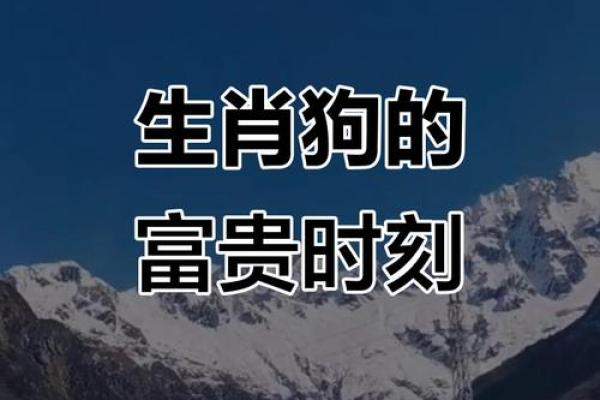 属狗的财运方位 从地支所在方向查看 西北方和东方都是不错的
