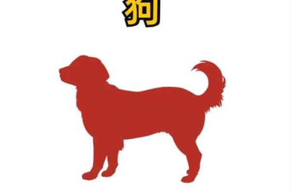 属狗的财运方位 从地支所在方向查看 西北方和东方都是不错的