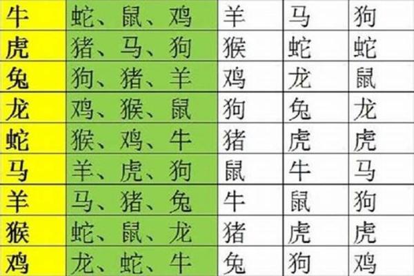 蛇跟什么生肖配对最好 生肖蛇最佳配对