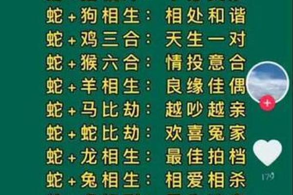 蛇跟什么生肖配对最好 生肖蛇最佳配对