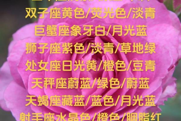 十二星座的幸运颜色